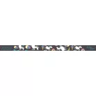 Ballagási szalag 7x125 cm 5 db/csomag