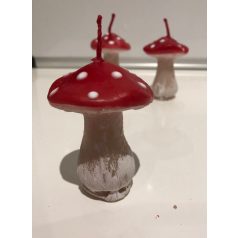 Gomba gyertya (G4)
