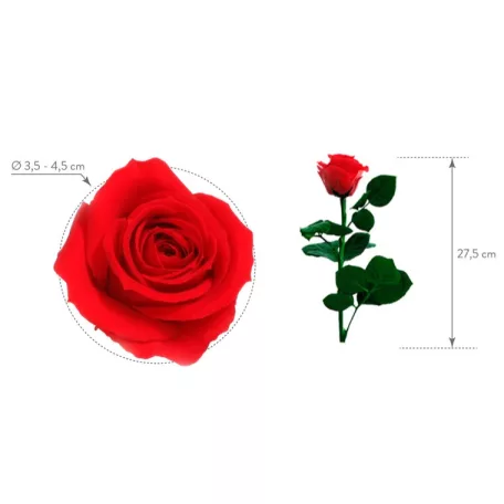 Luxury Candle ajándék örökrózsával Valentin napra