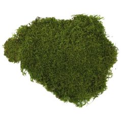 Moha tartósított zacskós 0,5kg