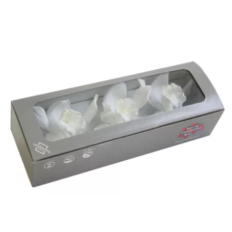 Orchidea örök dobozos 3 db