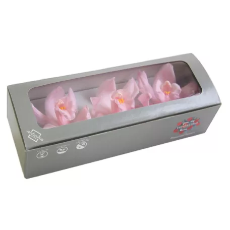 Orchidea örök dobozos 3 db