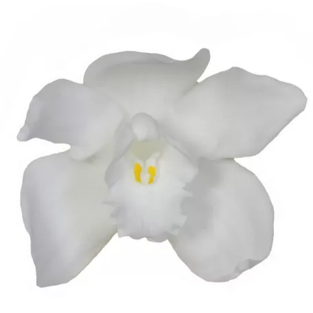 Orchidea örök dobozos 3 db