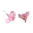 Orchidea örök dobozos 3 db