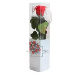 Örökrózsa 25 cm dobozos