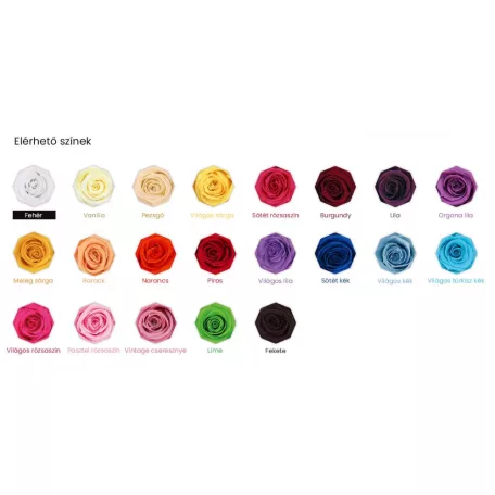 Örökrózsa 25 cm dobozos