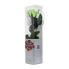 Örökrózsa 25 cm dobozos - Tricolor