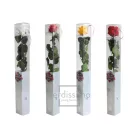 Örökrózsa 55 cm dobozos