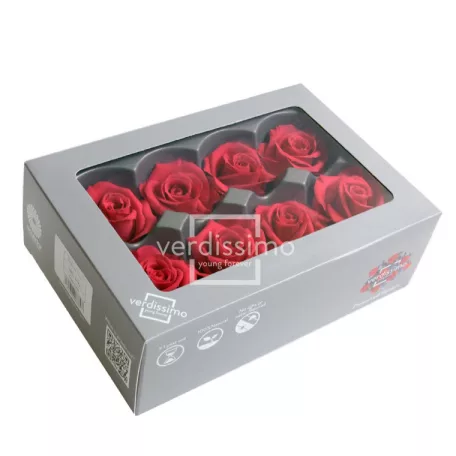 Örökrózsa fej Medium 8 db/doboz