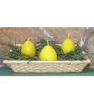 Tojás alakú gyertyák