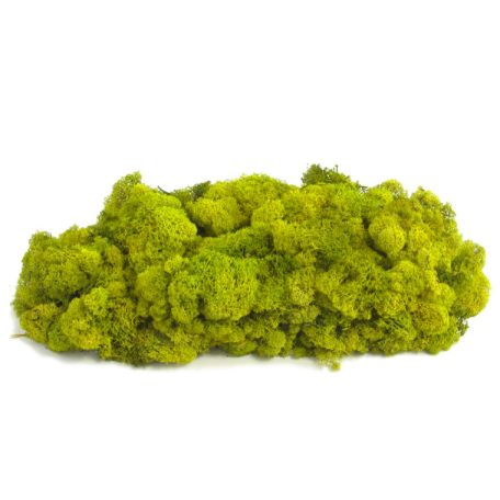 Zuzmó 1 kg