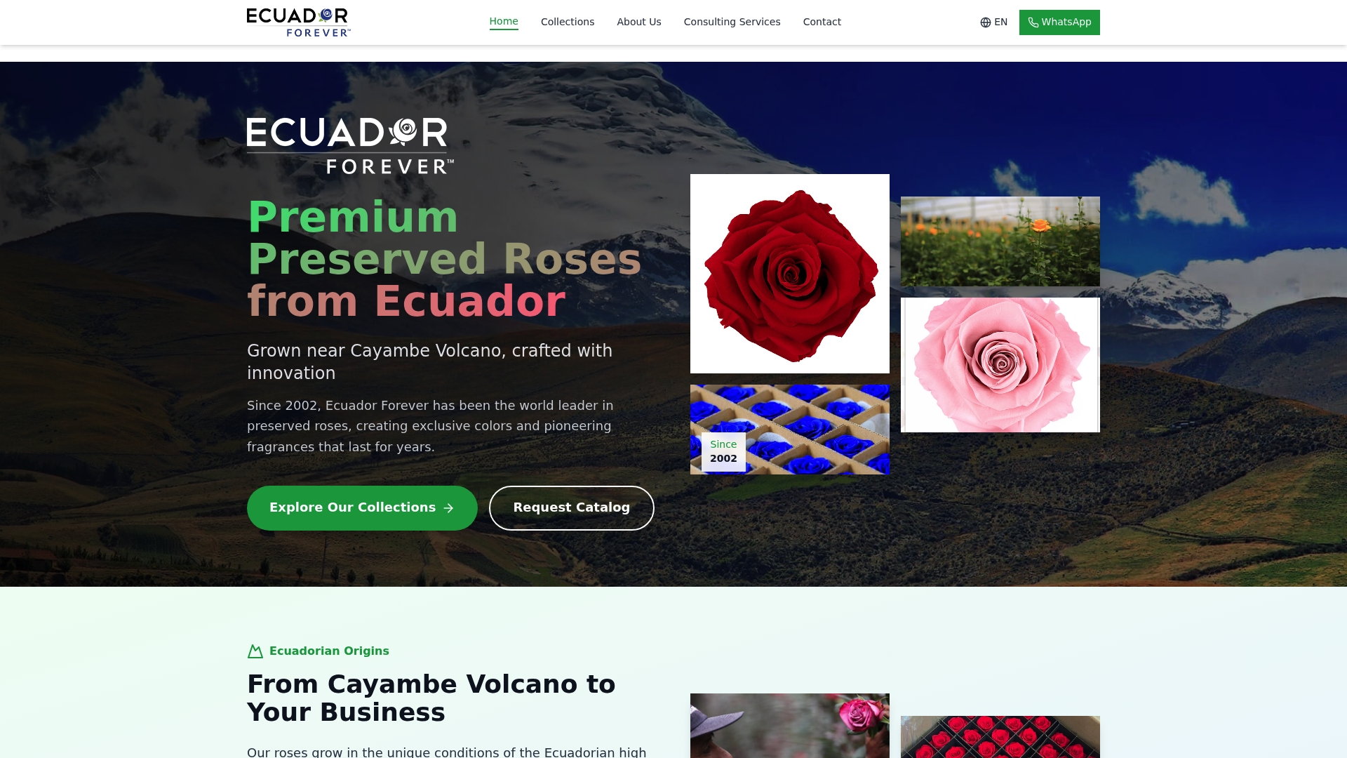 https://ecuadorforever.com
