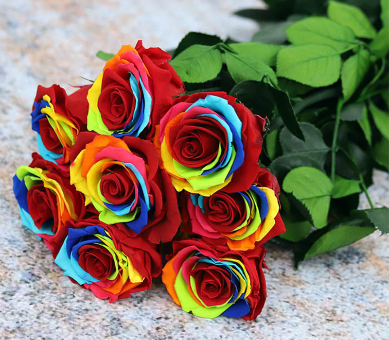 Új Termék Dobogóra Lép: A Szivárvány Színű Örökrózsa